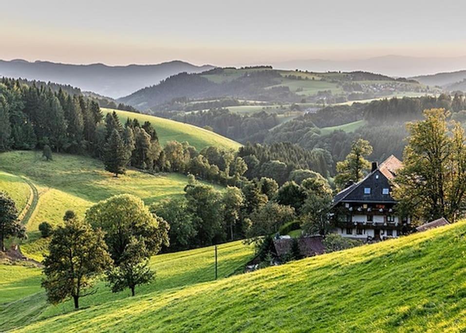 Ferienwohnung Lotti + Hochschwarzwald Card Titisee-Neustadt Zewnętrze zdjęcie