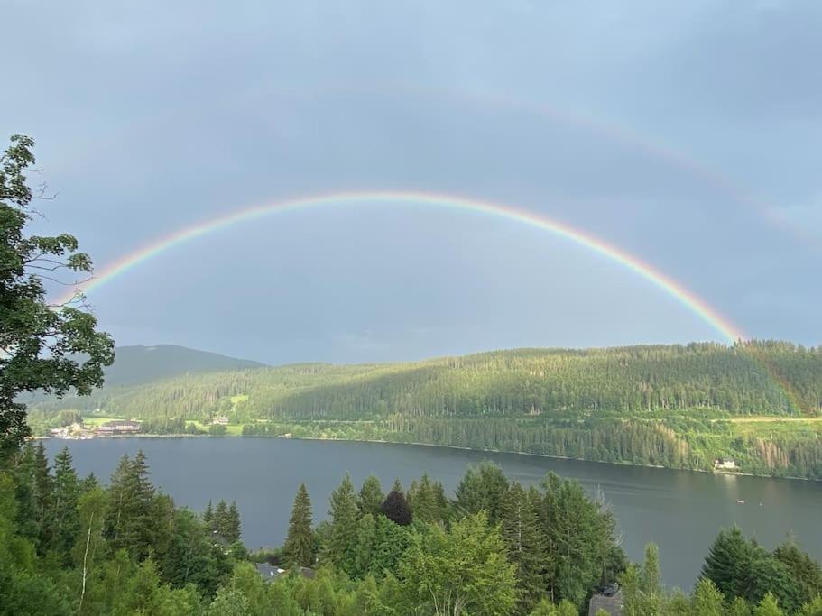 Ferienwohnung Lotti + Hochschwarzwald Card Titisee-Neustadt Zewnętrze zdjęcie