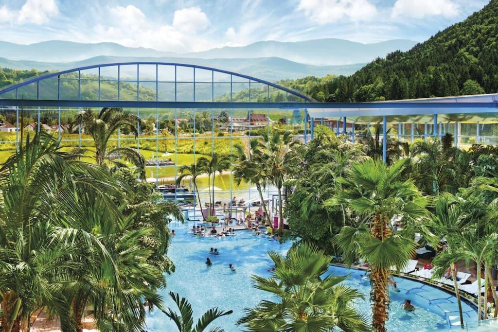 Ferienwohnung Lotti + Hochschwarzwald Card Titisee-Neustadt Zewnętrze zdjęcie