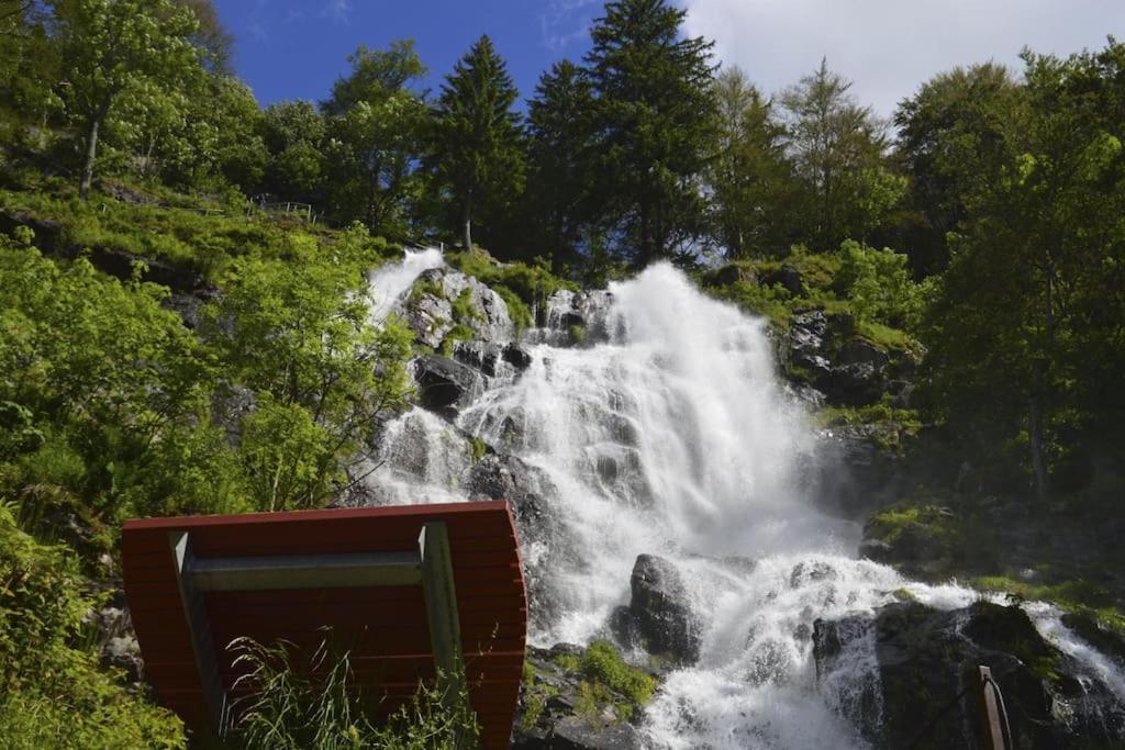 Ferienwohnung Lotti + Hochschwarzwald Card Titisee-Neustadt Zewnętrze zdjęcie