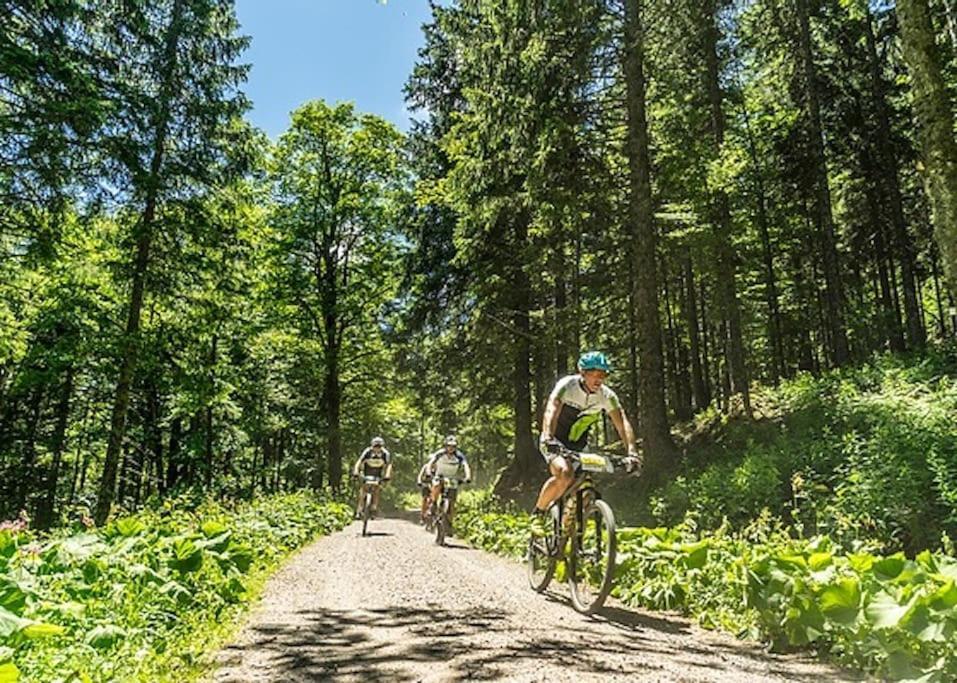 Ferienwohnung Lotti + Hochschwarzwald Card Titisee-Neustadt Zewnętrze zdjęcie